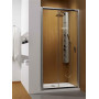 Душові двері RADAWAY Premium Plus DWJ 100, 33303-01-01N