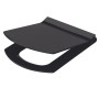 Сиденье для унитаза Idevit Vega Soft Close Slim 53-02-06-004