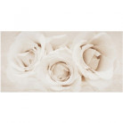 Декор Opoczno CAMELIA INSERTO FLOWER 29,7х60 Декор Opoczno CAMELIA INSERTO FLOWER 29,7х60
