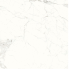 Плитка керамогранитная Cersanit Calacatta Mild White RECT 59.8x59.8x8 TGGR1019304937