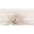 Декор Opoczno Avangarde CENTRO FLOWER 29,7х60 Декор Opoczno Avangarde CENTRO FLOWER 29,7х60