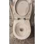 Унитаз подвесной Geberit Modo 502.939.00.1 безободковый soft close